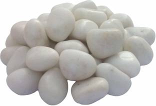 vanni obsession Decorative Aquarium and Vase Fillers Pebbles for Garden & Home Decor (1 KG) White Polished Round Marble Pebbles