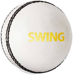 DSC Swing Cricket Leather Ball