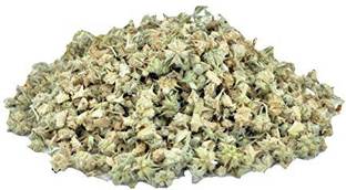 Nature Green GOKHRU SMALL, GOKHARU CHOTA, TRIBULUS TERRESTRIS Seed