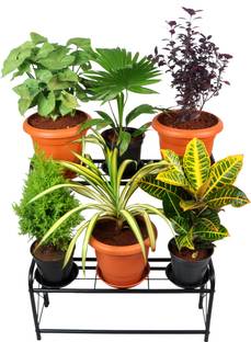 D&V ENGINEERING Metal 2-Step, 6 Planter Indoor/Outdoor Flower Pot Stand, Plant Stand, Kitchen Shelf Stand for Home Decor, Office, Garden, Balcony Decor Plant Container Set