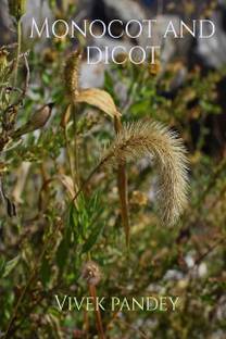 Monocot and dicot