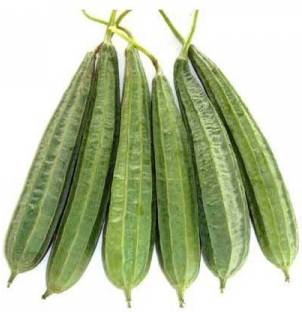 ActrovaX Farmer Ridge Gourd - Turai Tura Luffa Jhinga [2gm Seeds] Seed
