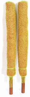 Divine Tree Fibre Moss Stick Pole for Climbing Money Plant (5 Feet_Pack 2) Plant Straightener