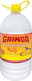 GAINDA White Perfumed Disinfectant Phenyl Plain