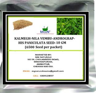 MGBN KALMEGH-NILA VEMBU-ANDROGRAPHIS PANICULATA SEED - 10 GM (6500 SEEDS) Seed