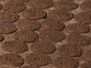 KAMDHENU PURE COW DUNG (UPLA) PACK OF 15PCS