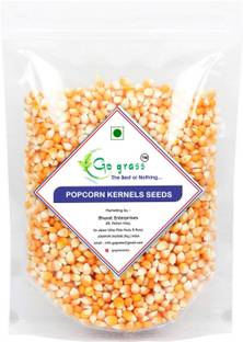 GO GRASS Popcorn kernels seeds Butter Popcorn