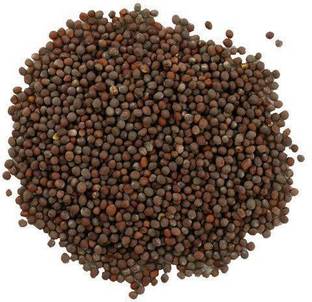 Go Raw BLACK MUSTARD - SARSO KALI - SARSON KAALI - BROWN MUSTARD (100g) Seed