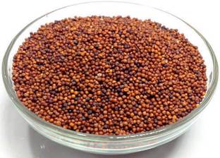 Urban Organic ragi - raagi - mandwa - madua - finger millet - eleusine coracana (100 gram per pack) Seed
