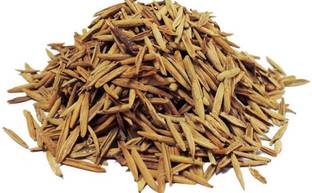 Naturewell INDRAJAU - INDERJO - INDERJAU TALKH - HOLARRHENA PUBESCENS - WRIGHTIA TINCTORIA (100 gram Per pack) Seed
