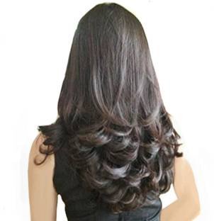 Alizz Stylish hair extension a1z67a Hair Extension