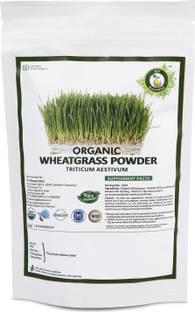 R V Essential Organic Wheatgrass Powder- Triticum Aestivum Wheat grass Powder USDA Certified