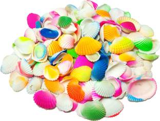 DS Creations Multi Colored sea shell for aquarium, table, fountain and garden Aqua Soil Unplanted Substrate