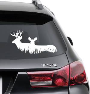 SUDARSHAN STICKER 10 cm Dear - B Sides, Windows, Bumper, Hood Car Sticker - Size 10 Cm X 20 Cm Self Adhesive Sticker
