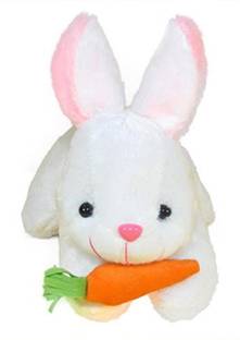 Tedstar Stuffed Cute Cotton Lovable Soft Rabbit Plush Toys Dolls White 22cm Gift for Birthday Valentine Girlfriend Boy Girl Kid Lover  - 22 cm