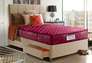 Repose Lady Indiana 7 inch Queen Bonnell Spring Mattress