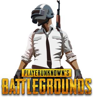 DivineDesigns 58 cm Playerunknown's PubG Sticker Self Adhesive Sticker