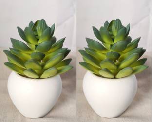 BK Mart Set of 2 Imported Succulents Lotus Cactus Plant Artificial Plant  with Pot