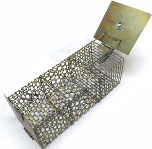 la jarden Medium & Large RAT TRAP COMBO PACK Live Trap