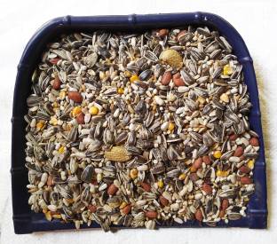 Parrots Wizard bird mix seeds 1 0.9 kg (2x0.45 kg) Dry Adult Bird Food