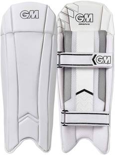 GM Original Wicket Keeping Cricket Guard Combo