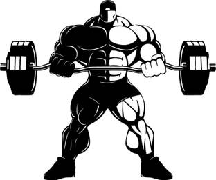 amazinghub 120 cm a-gym Self Adhesive Sticker