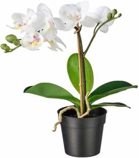 IKEA Artificial Potted Plant, Orchid White Wild Artificial Plant  with Pot