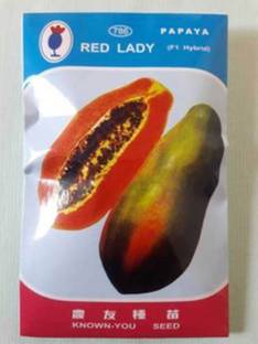 Green Garden Red Lady 786 Papaya Taiwan Seeds F1 Hybrid Seed( 40 Seeds ) Seed
