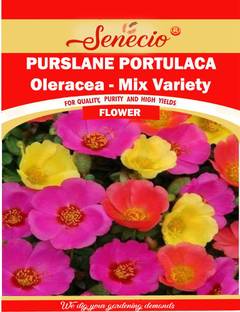 SENECIO® Purslane Portulaca Oleracea Mix Variety Seed