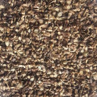 Green India Cenchrus/Buffel/Anjan/Kolukattai/Dhaman/Kusa gaddi grass fodder seeds (Pack of Average 50 gm) Seed