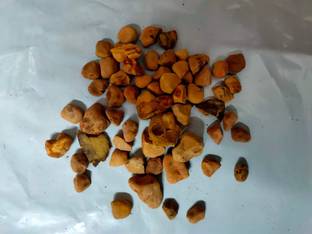 Green India Adansonia Digitata / Kalpavriksh /Baobab Plant/ Kalpavruksk Seed Pack Of 200 G Seed