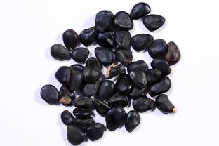 Green India Pithecellobium Dulce,, Manilla Tamarind, Seeme Hunase, Kodukkapuli Seeds -100g Seed