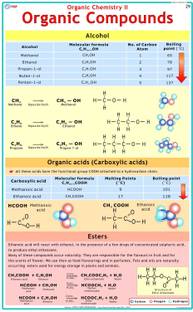 Chemistry Chart - Alcohols, Ester & Organic acid ( Organic Chemistry ) Photographic Paper