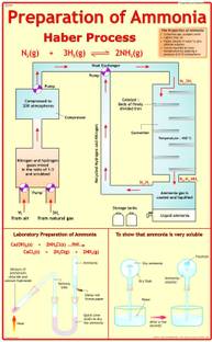 Chemistry Chart - Preparation of Ammonia Photographic Paper