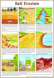 Environment Chart - Soil Erosion Photographic Paper