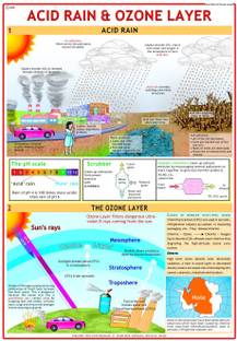 Environment Chart - Acid Rain Photographic Paper