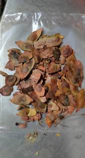 Green India Nepali Sheesham/Sisso/Rosewood/Sisam Timber Seed - pack of 50 Gram Seed