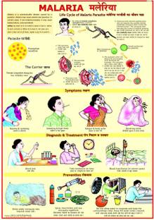 Malaria Chart Photographic Paper
