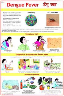 Dengue Chart Photographic Paper