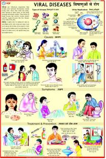 Viral Disease Chart Photographic Paper