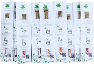Sow and Grow Plantable seed ball pen Ball Pen