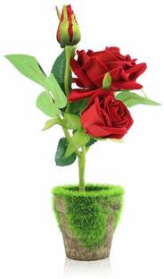 Breewell Imported Flower with Pot for Home décor Bonsai Wild Artificial Plant  with Pot