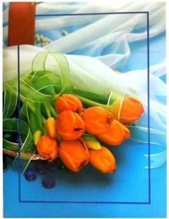 Cute Shopping Network Create & Design Natraj Series High Quality Photo Album with Extra Clear PVC Film, 40 Photos, (Photo Size Supported: 6x8 Inch) Album