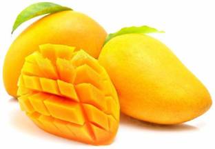 Namma Thota Organic Alphonso Mango