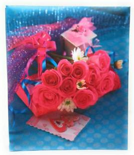Cute Shopping Network Natraj High Quality PVC Plastic Pages Photo Album with Extra Clear PVC Film, 200 Photos Album