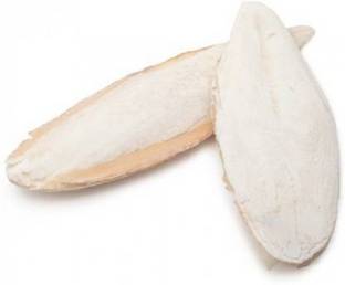 Sage Square Cuttlefish Bone for Birds Calcium - 100 gm 0.1 kg Dry Young Bird Food