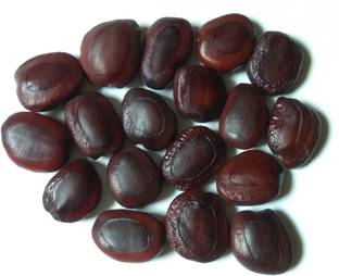 everlite IMLI, TAMARIND, BHUNI IMLI, ROASTED IMLI, ROASTED TAMARIND Seed