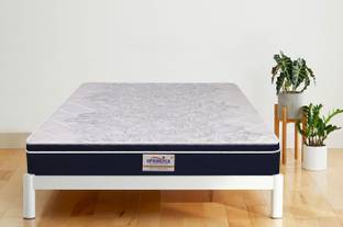 SPRINGTEK Euro Top Hybrid Latex 8 inch King Pocket Spring Mattress