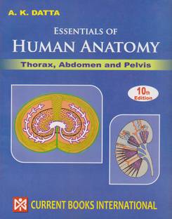 Essentials Of Human Anatomy Thorax Abdomen & Pelvis Vol-I 10Ed