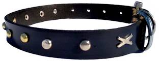 Petox Zone Large26 Embellished Dog Collar Charm